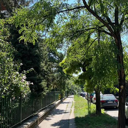 Daire City Green Little Flat Budapeşte