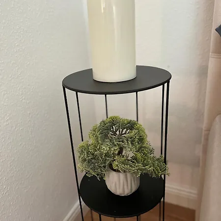 City Green Little Flat Daire